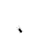 maura.gif (2412 bytes)